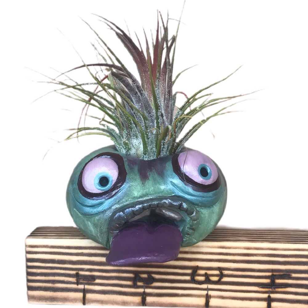 Handmade Air plant holder zombie with plant